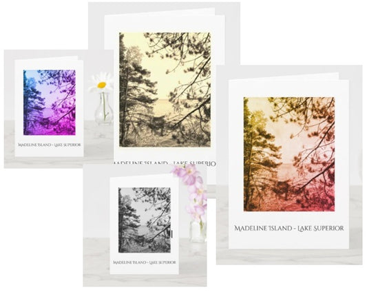 Superior Trees Notecard Set